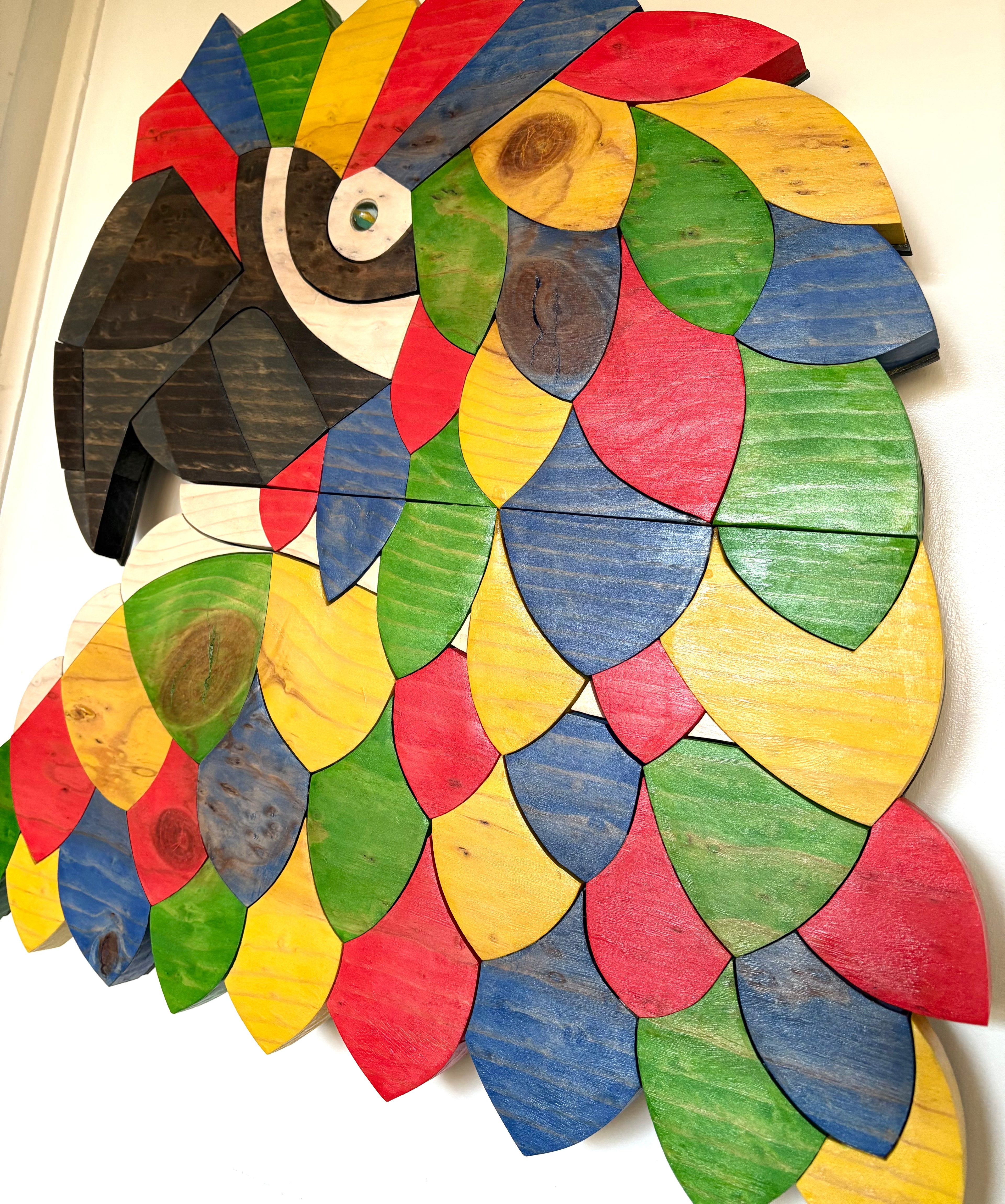 Colorful wildlife art wooden macaw bird parrot sculpture on a white fine art gallery wall 