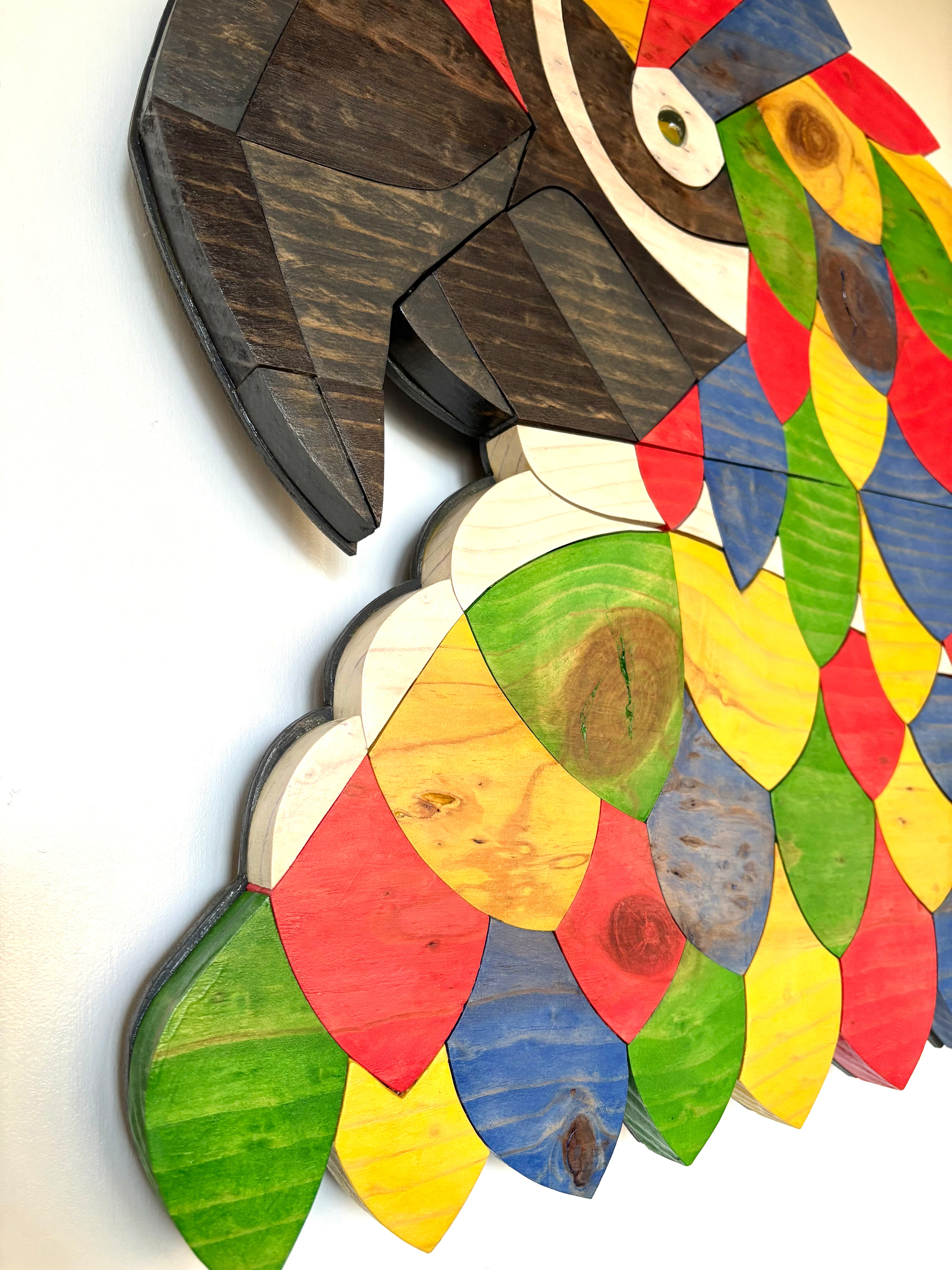 Colorful wooden macaw parrot puzzle Wood art stained in bright colors titled Jimmy Buffett by Artist SSDesign