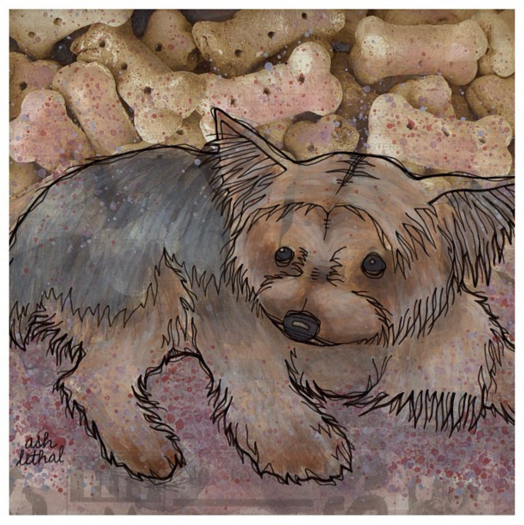 ash lethal Yorkie dog drawing commission