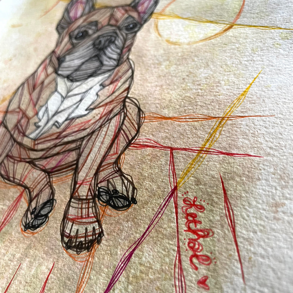 portrait drawing commission example 1 bulldog frenchie on paper
